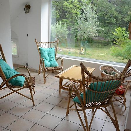 Hotel L'Oiseau Bleu Tournon-sur-Rhone Zewnętrze zdjęcie