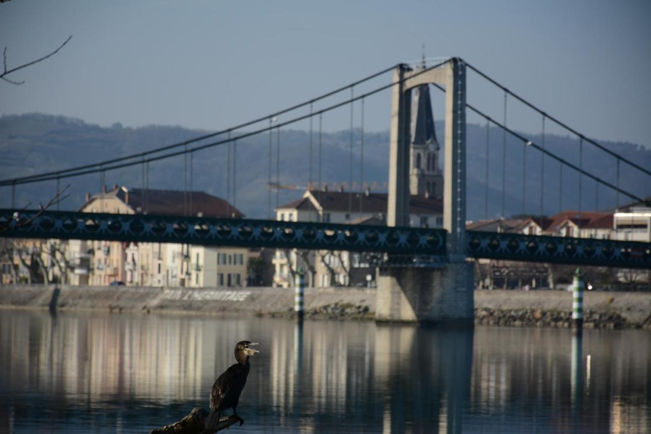 Hotel L'Oiseau Bleu Tournon-sur-Rhone Zewnętrze zdjęcie