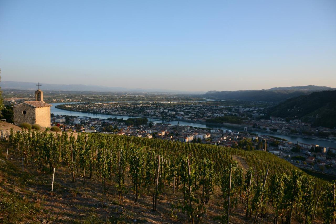 Hotel L'Oiseau Bleu Tournon-sur-Rhone Zewnętrze zdjęcie