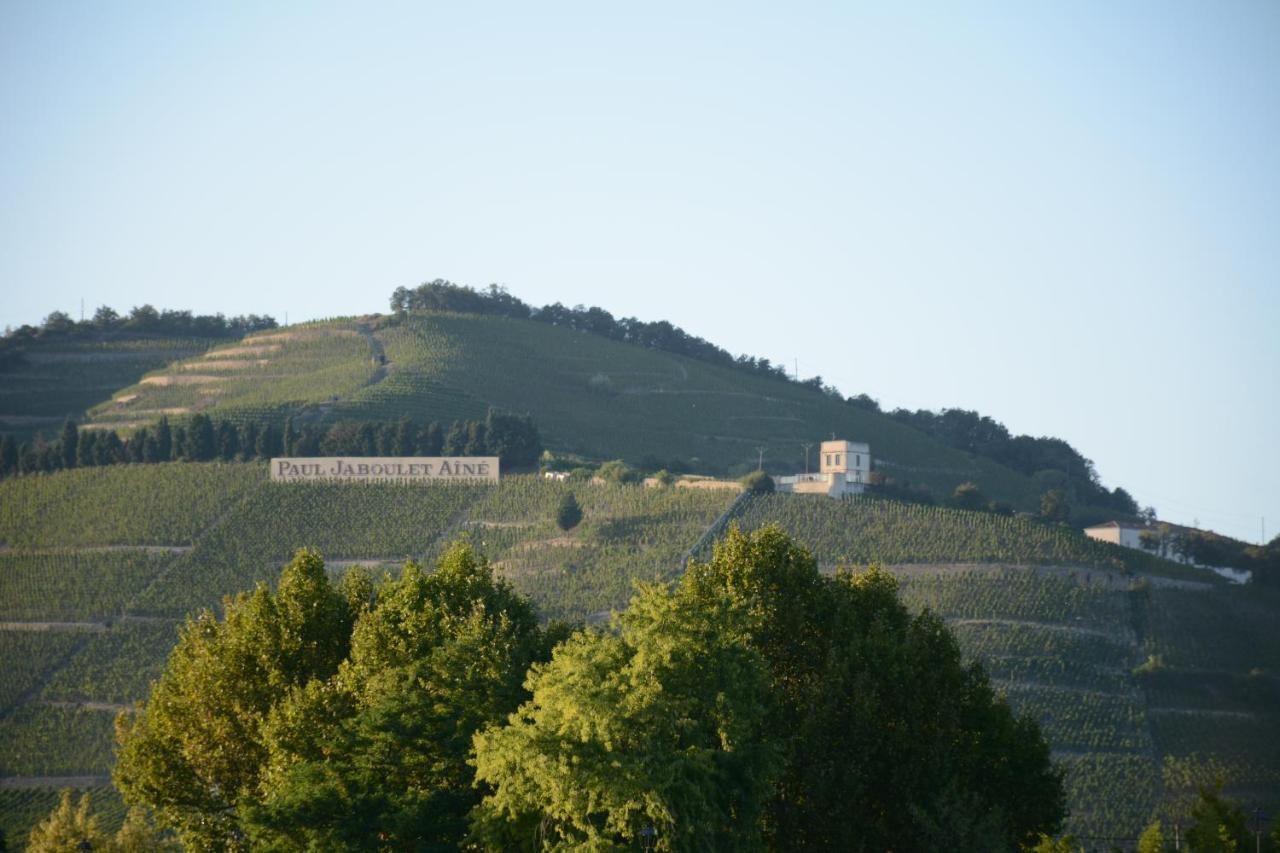 Hotel L'Oiseau Bleu Tournon-sur-Rhone Zewnętrze zdjęcie